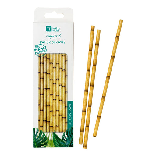 Fiesta Bamboo Paper Straws - Party, Girl! 