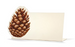 Pinecone Place card--Pack of 12 - Party, Girl! 