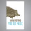 Happy Birthday You Old Prick Greeting Card