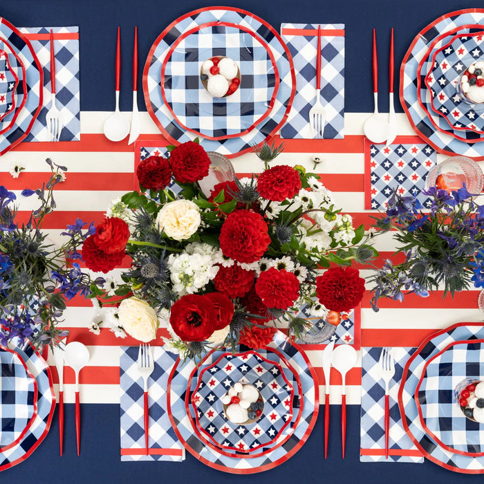 Blue & White Gingham w/ Red Wavy Dinner Plates