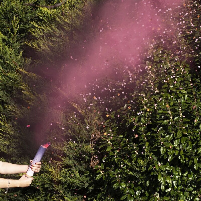 Boy Girl Gender reveal Confetti Shooter baby shower pink blue