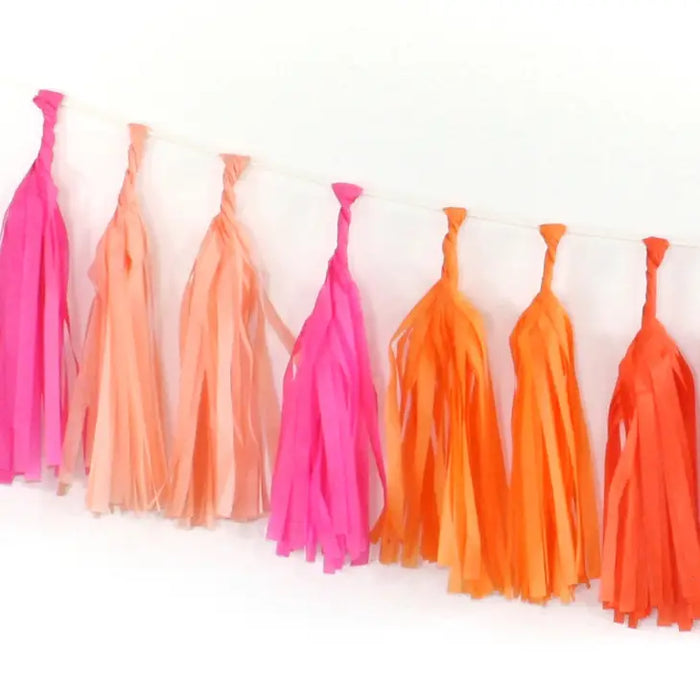 Tissue Tassel Garland Kit by Flair Exchange (multiple colors available)